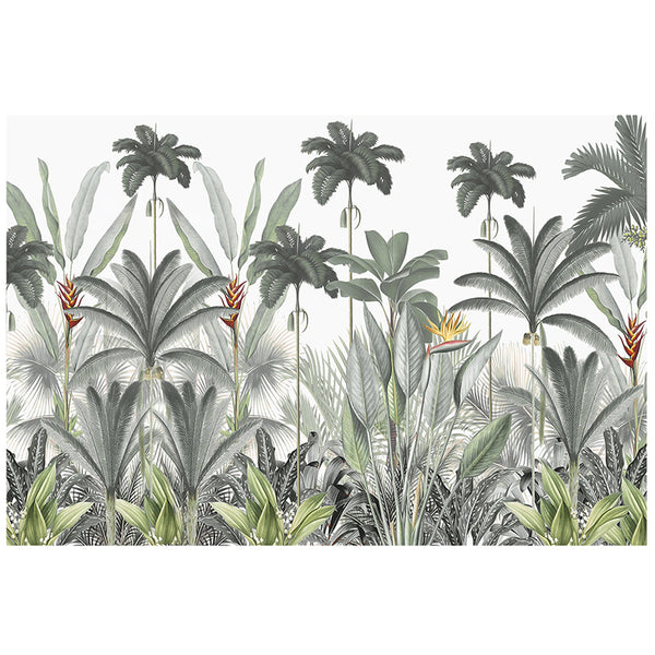 Bare Tropics