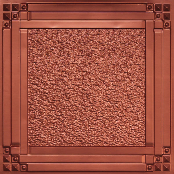CP209