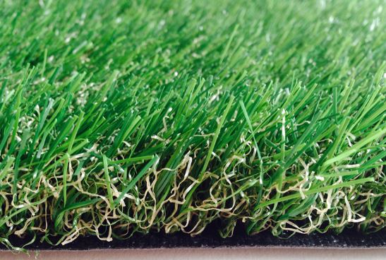 35mm Turf