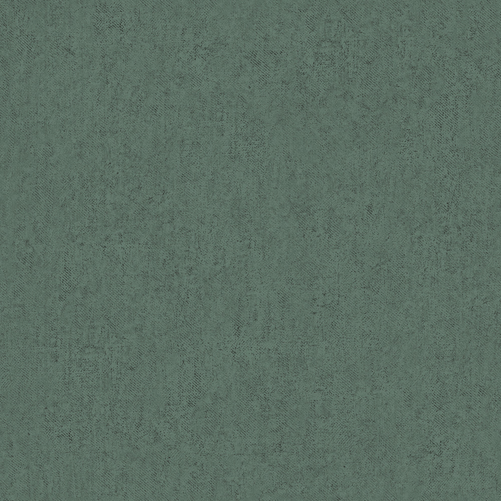 Plain Texture
