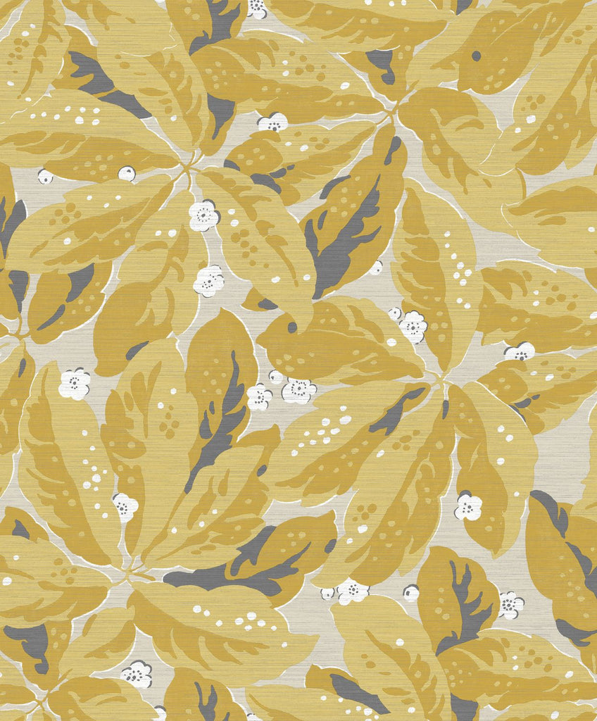 Leaves