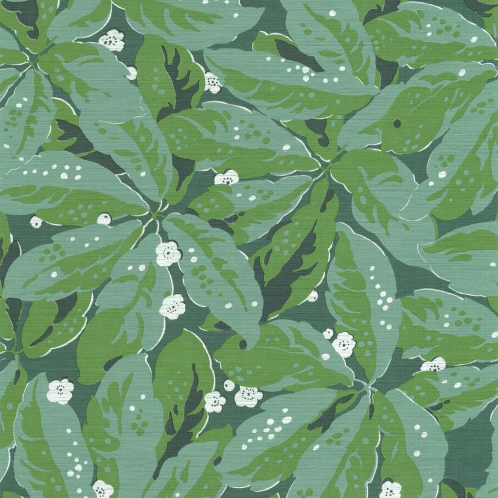Leaves