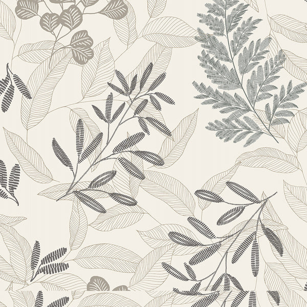 Dry Leaves