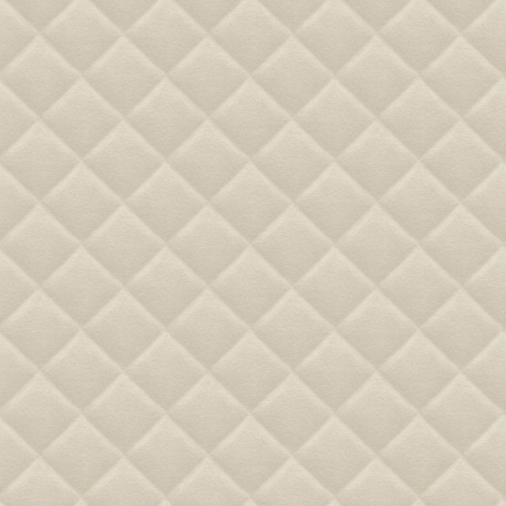 Checks