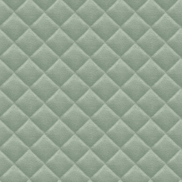 Checks