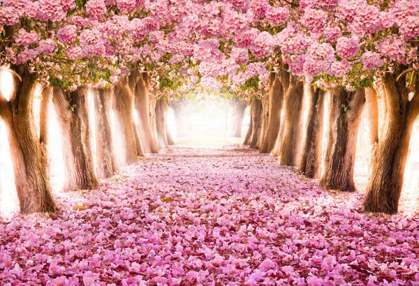 Blossom Shadow (WM00297)