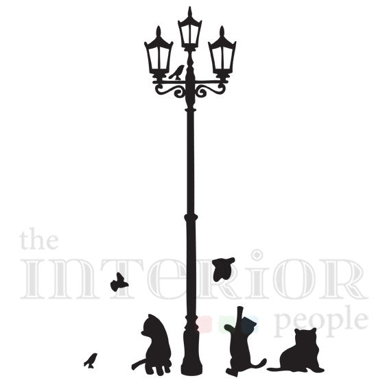 Cat Street (DC005137)
