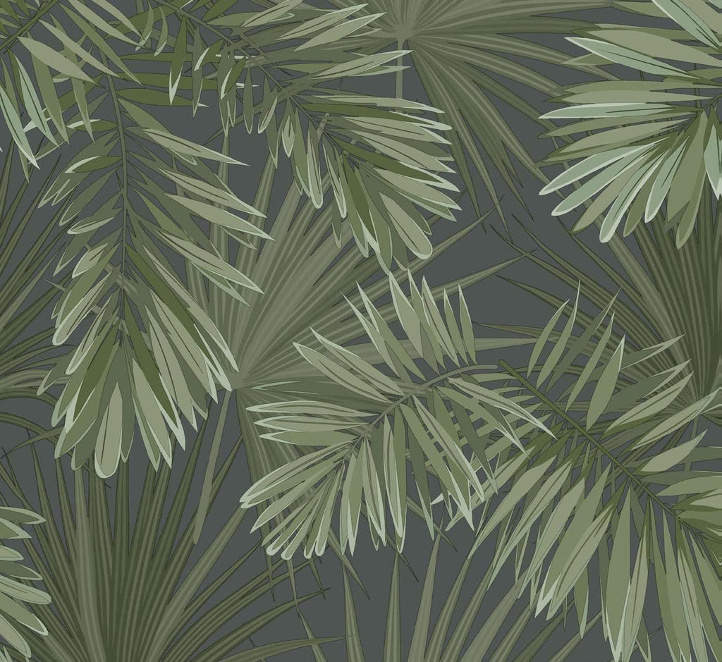 Tropical
