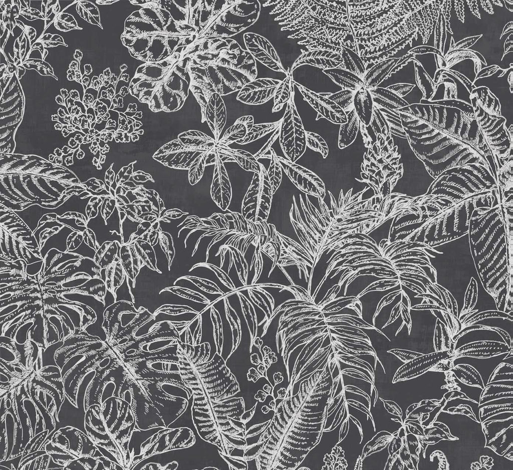 Tropical