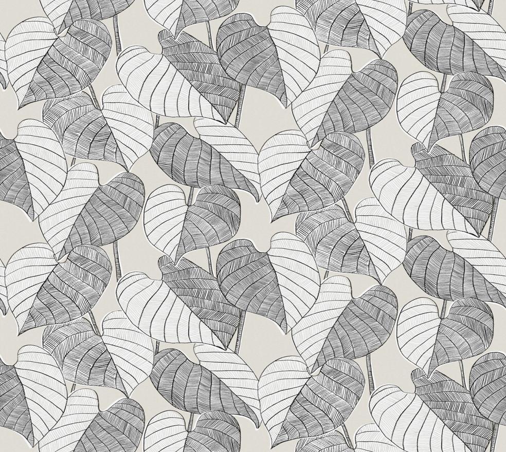 Leaves