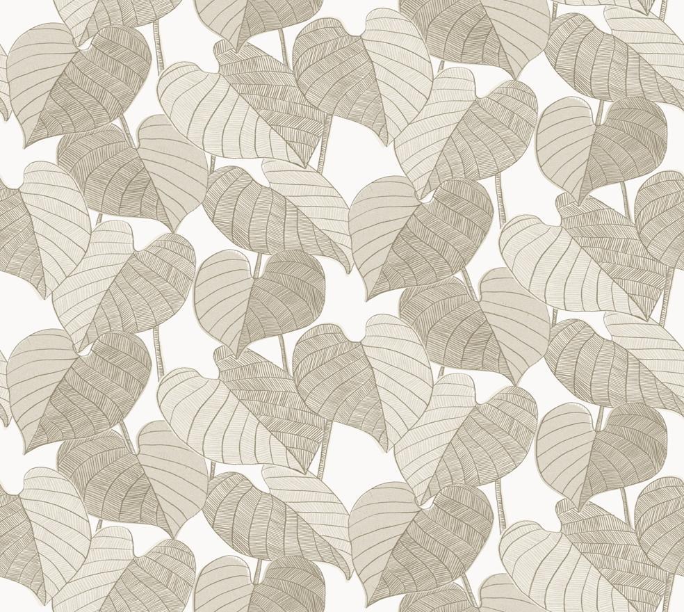 Leaves