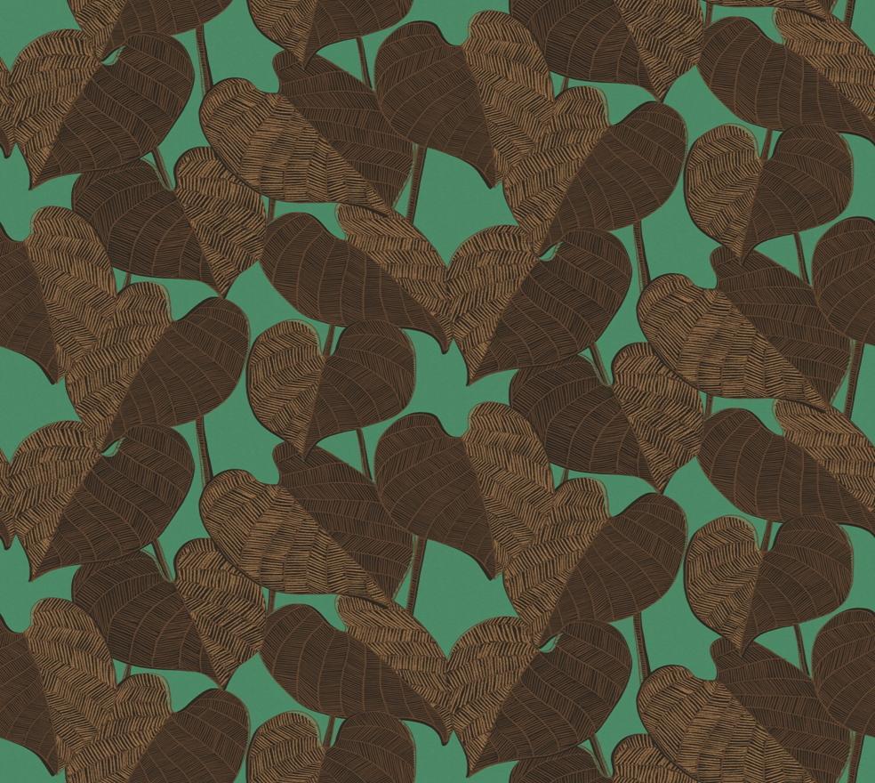 Leaves