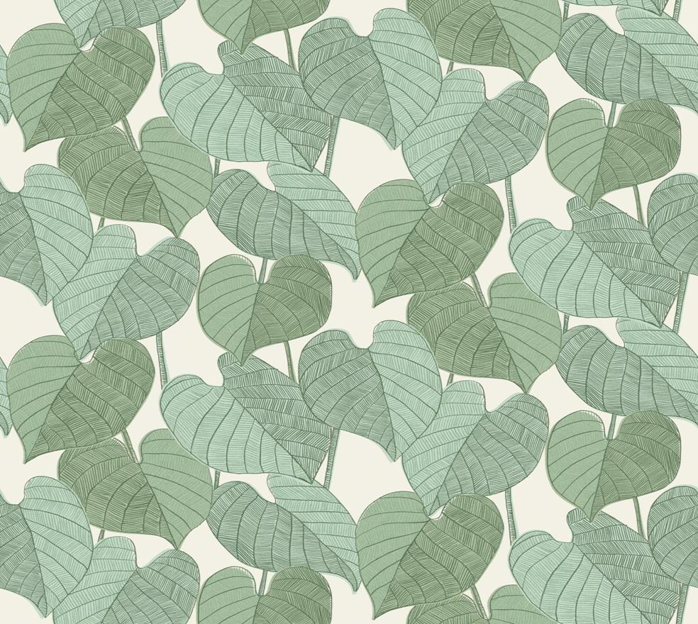 Leaves
