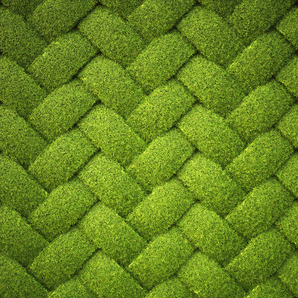 Grass Weave (WM00262)