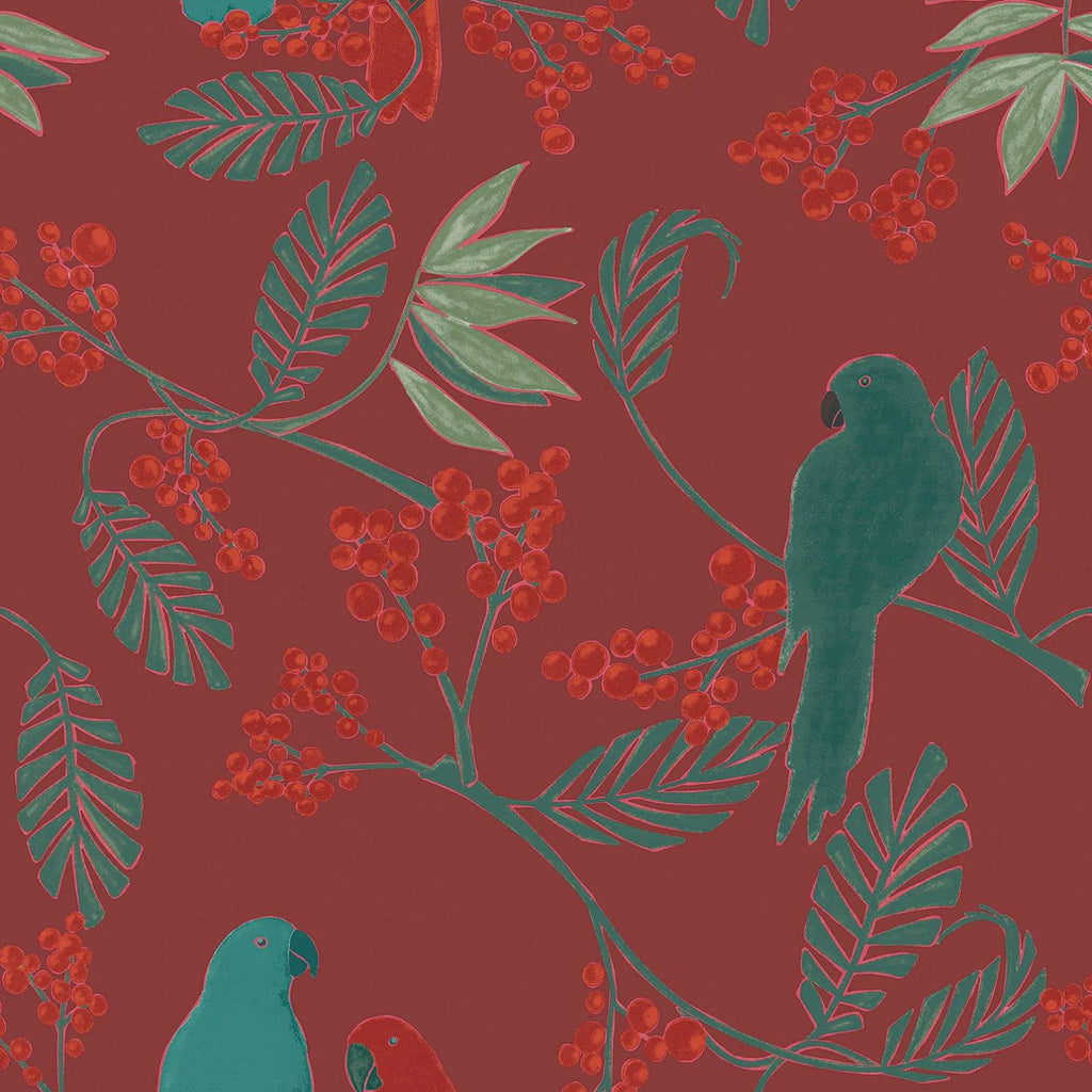 Parrot