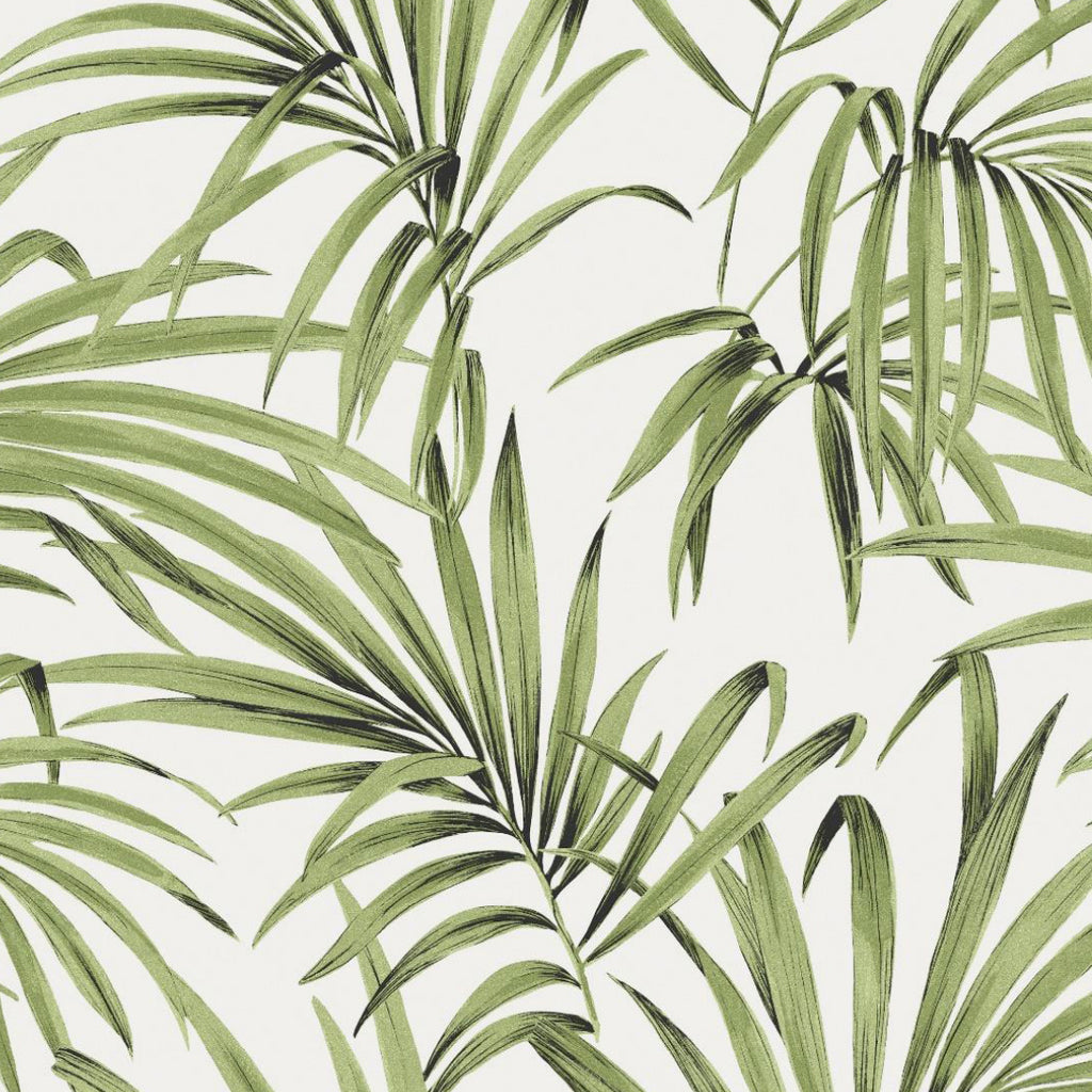 Palm Greenery