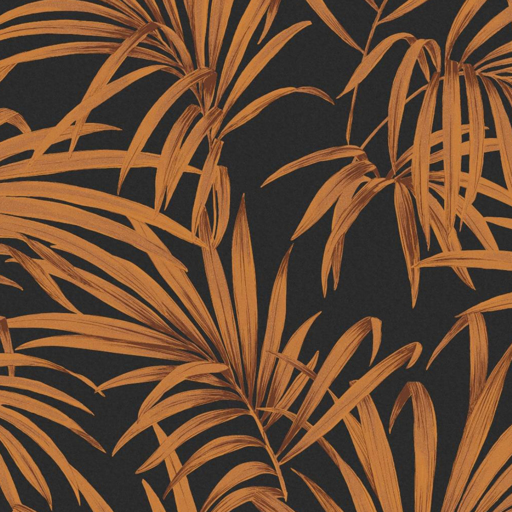 Palm Sunrise