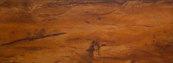 Spruce Plus