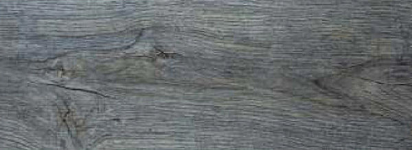Conifer Plus