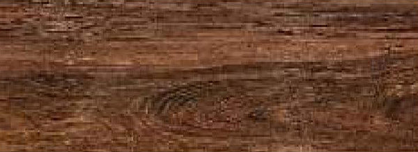 Conifer