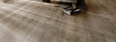 Spruce Plus