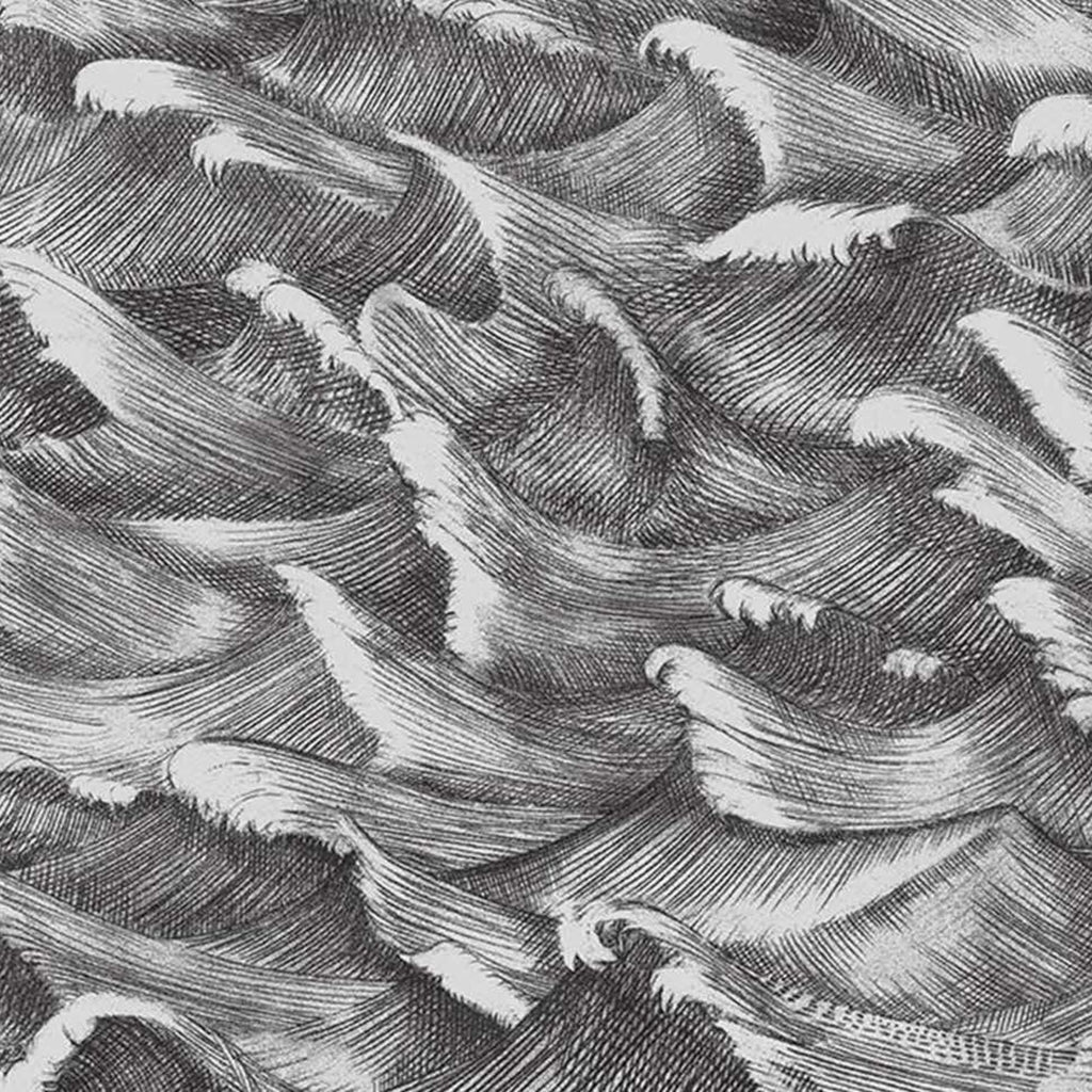 Waves