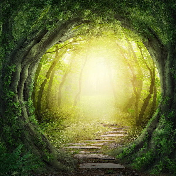 Narnia 2 (WM00135)