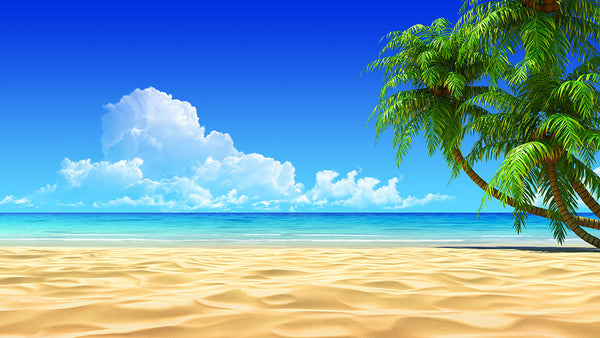 Beach View (WM00140)