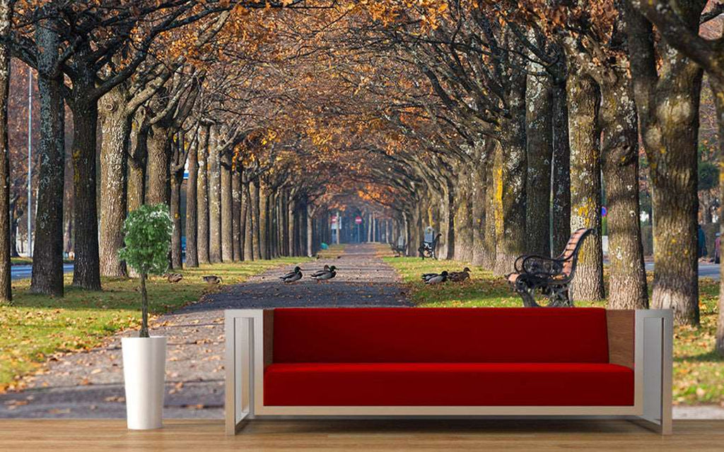 Colorful Autumn (WM00142)