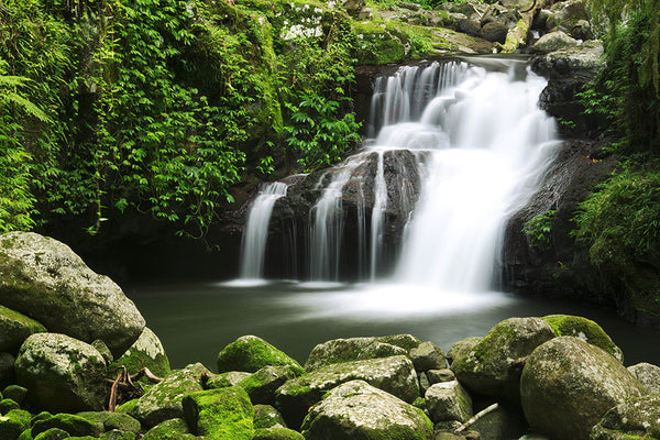 Waterfall 2 (WM00146)