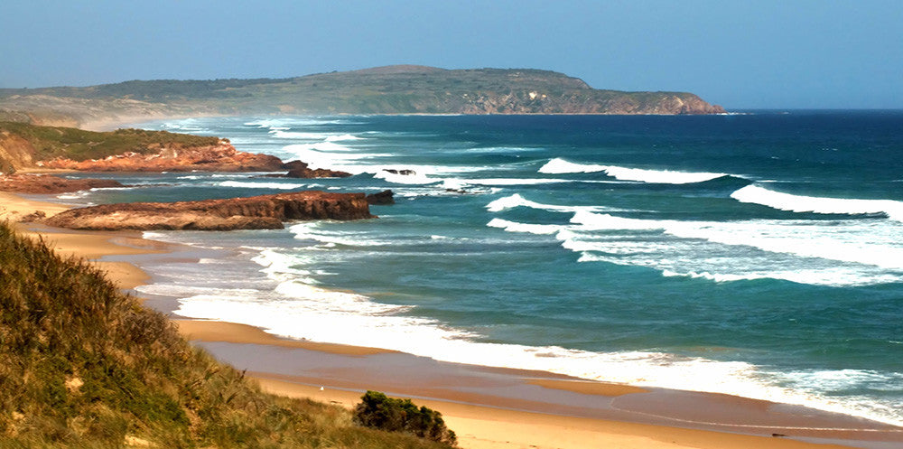 Surf Beach (WM00154)