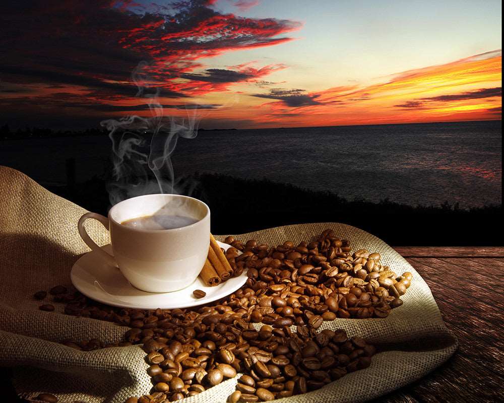 Coffee Hub (WM00200)