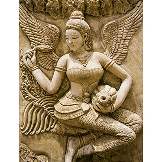 Thai princess (WM00330)