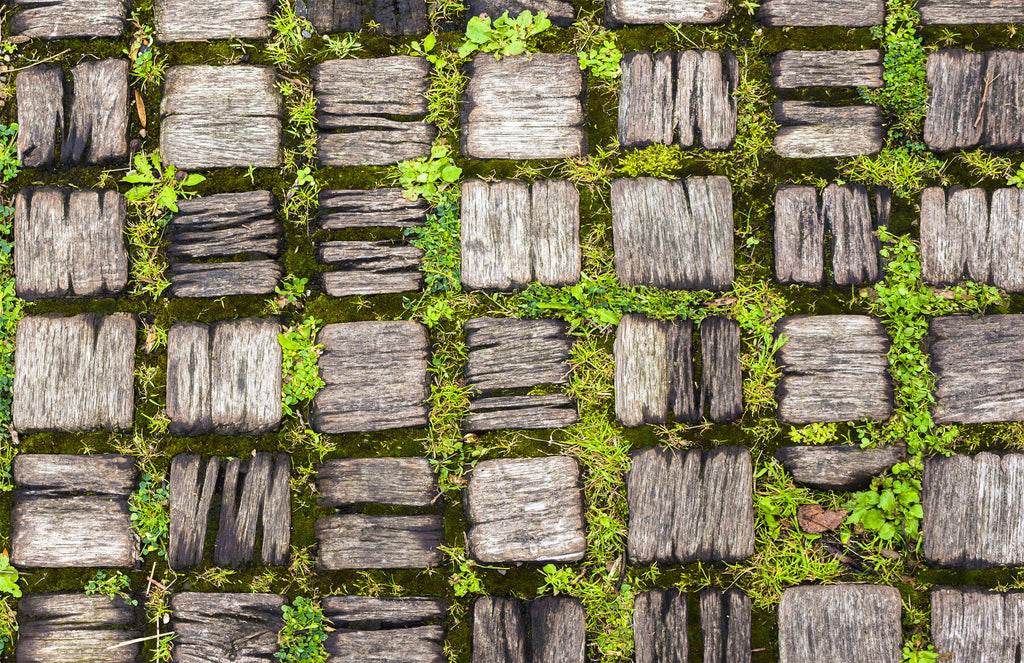 WM00403 (Old Wood Wall)