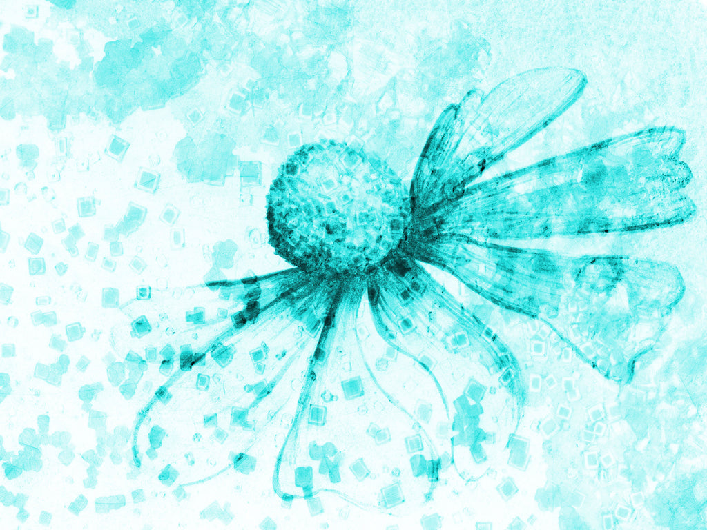 WM00405 (Cyan flower)