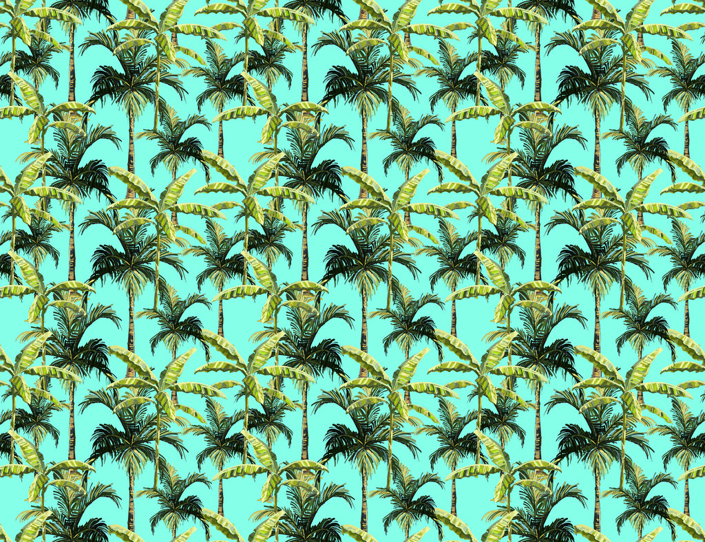 WM00420 (Palm Tree)