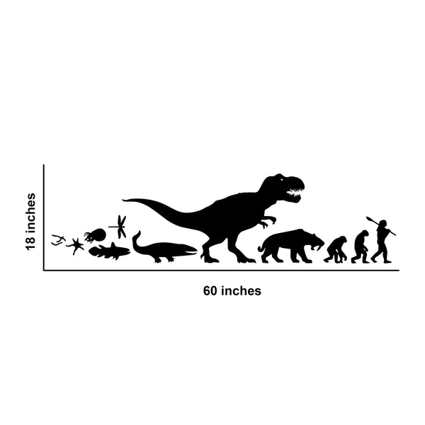 Evolution